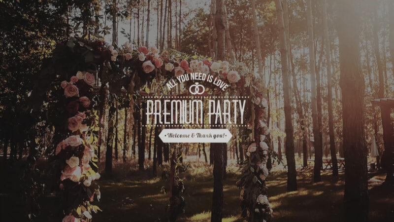 Information Alternative